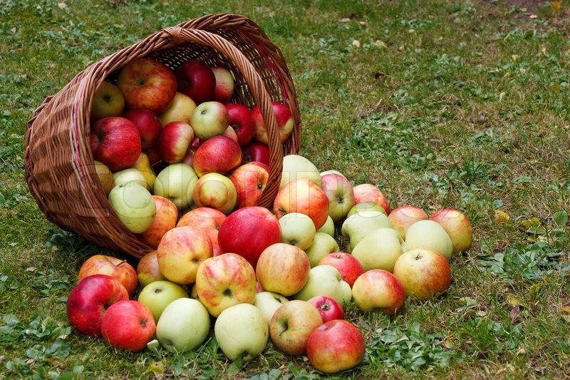 شستشوی سیب ارگانیک